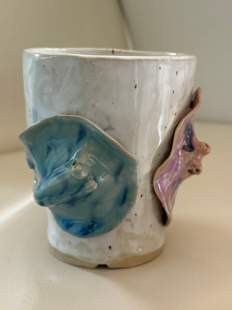 Stingrays mug